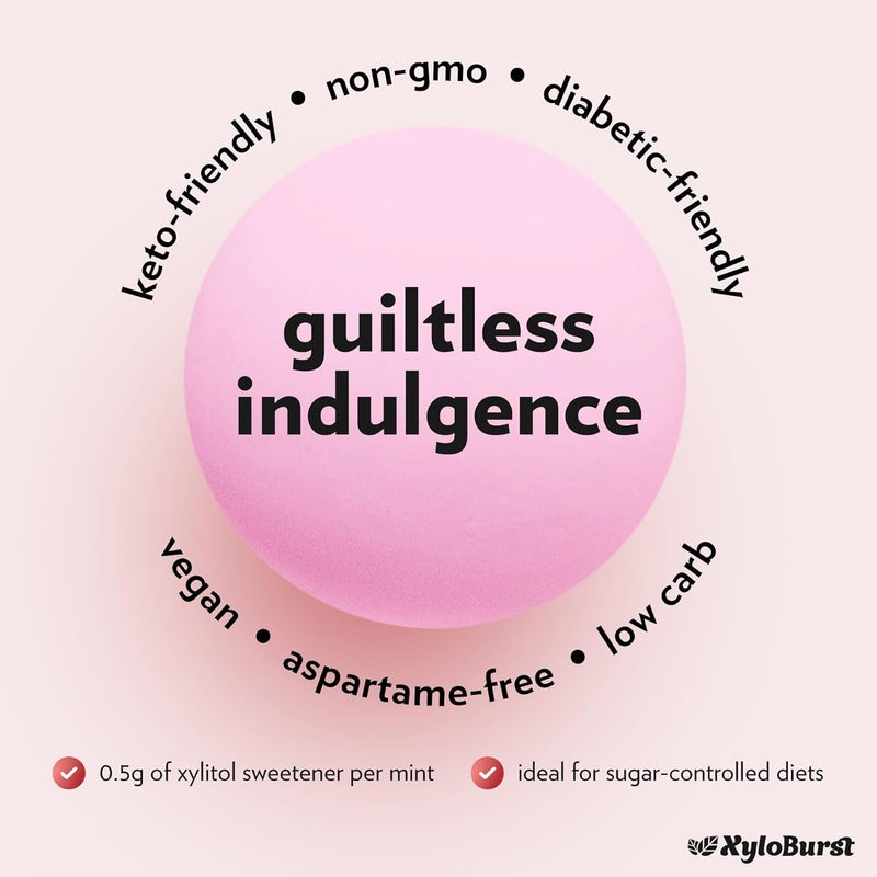 Xyloburst Sugar Free Berry Mints - Image 3